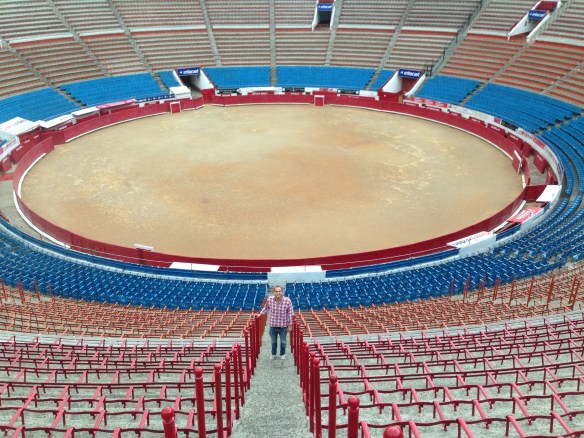 Cada vez más cerca del albero